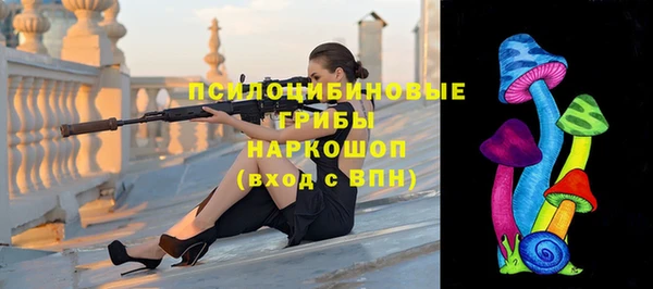 спиды Алзамай