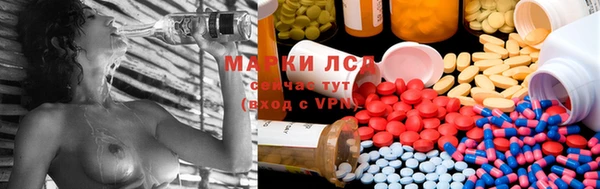 PSILOCYBIN Алексин